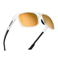 WaveRider Performance Sunglasses - Amber Sky